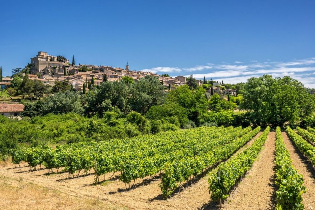 vineyards in the countryside in front of the hilltop village of Ansouis in Luberon in Provence France